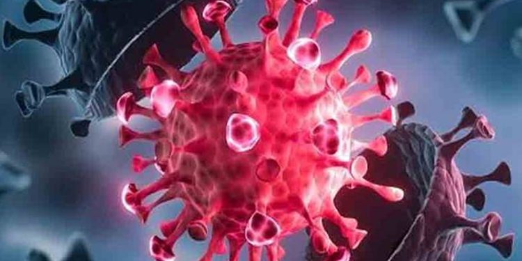 দেশে ২৪ ঘণ্টায় করোনায় একজনের মৃত্যু, শনাক্ত ৩