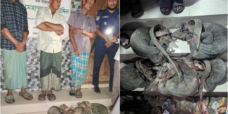 চট্টগ্রামে রশি বাঁধা অবস্থায় গুইসাপ উদ্ধার, ১০ হাজার টাকা জরিমানা