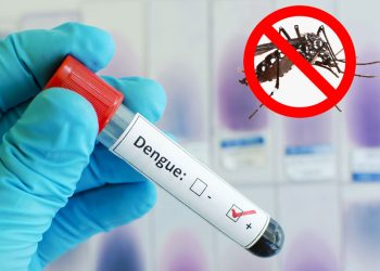 একদিনে ডেঙ্গু শনাক্ত ২৬২ জন, মৃত্যু ১