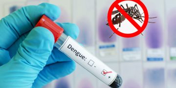 একদিনে ডেঙ্গু শনাক্ত ২৬২ জন, মৃত্যু ১