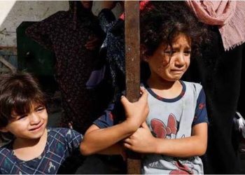 নতুন জামা নয়, ঈদে এক খণ্ড রুটি চায় গাজার শিশুরা