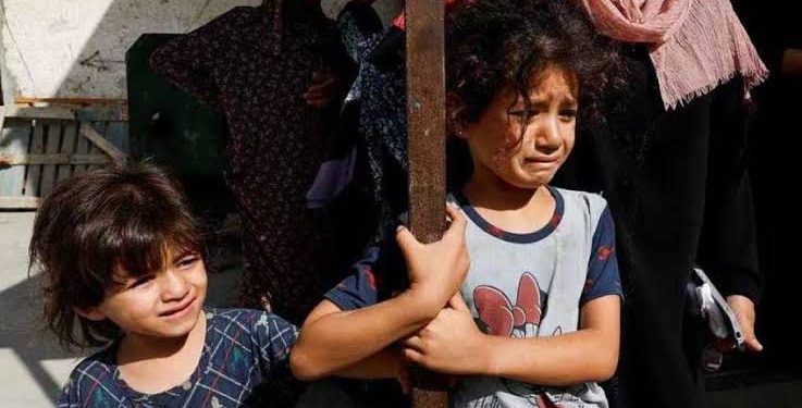 নতুন জামা নয়, ঈদে এক খণ্ড রুটি চায় গাজার শিশুরা