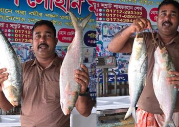 ২০ হাজার টাকায় কিনলেন পদ্মার ইলিশ