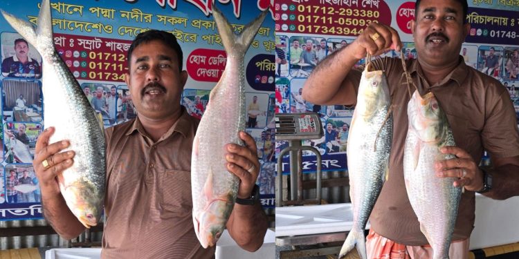 ২০ হাজার টাকায় কিনলেন পদ্মার ইলিশ