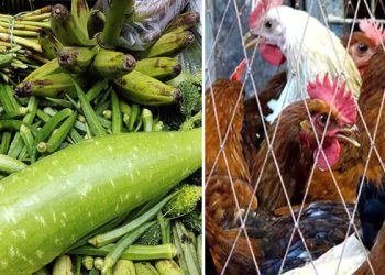 সবজি-মুরগির দাম বেড়েছে সপ্তাহ ব্যবধানে