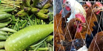 সবজি-মুরগির দাম বেড়েছে সপ্তাহ ব্যবধানে