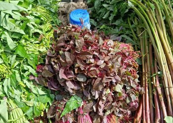 লাল শাক এক আঁটি ৩০ টাকা