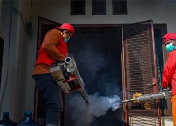 ডেঙ্গুর প্রকোপ প্রশান্ত মহাসাগরীয় অঞ্চলে, জলবায়ু সংকট দায়ী