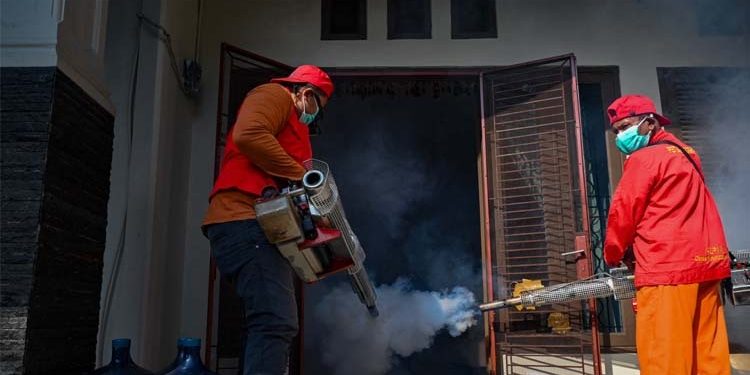 ডেঙ্গুর প্রকোপ প্রশান্ত মহাসাগরীয় অঞ্চলে, জলবায়ু সংকট দায়ী