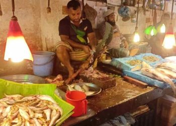 ক্রেতার আগ্রহ বেশি ছোট রুই-পাবদায়