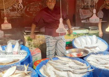 ক্রেতার মুখ বেজার ইলিশের দামে