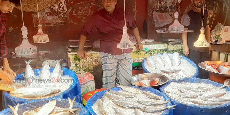 ক্রেতার মুখ বেজার ইলিশের দামে