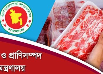 ভিত্তিহীন খবর ব্রাজিল থেকে মাংস আমদানির