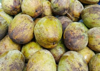 বাড়ছে আমের মৌসুম, দামও চড়া শেষ দিকে