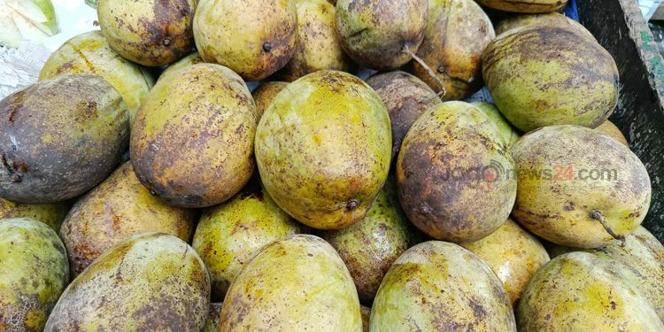 বাড়ছে আমের মৌসুম, দামও চড়া শেষ দিকে