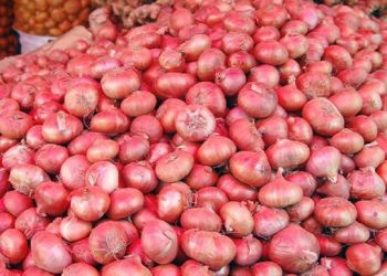 আমদানির উদ্যোগ সরকারের পেঁয়াজের দাম ৩৩% বেড়ে যাওয়ায়