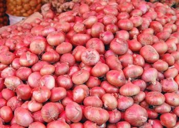পাইকারিতে পেঁয়াজের দাম কেজিতে ১০ টাকা কমেছে আমদানির ঘোষণার পর