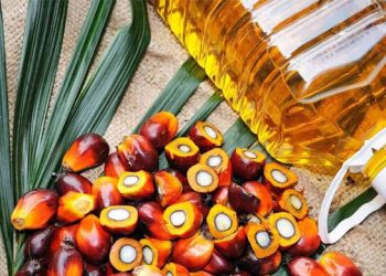 লিটারে পাম অয়েলের দাম ১৯ টাকা কমলো