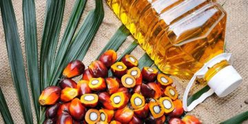 লিটারে পাম অয়েলের দাম ১৯ টাকা কমলো