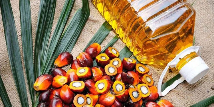 লিটারে পাম অয়েলের দাম ১৯ টাকা কমলো