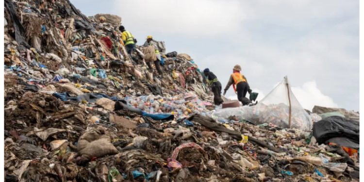 প্লাস্টিক ক্রেডিট: মিথ্যে আশ্বাস না প্রকৃত সমাধান?