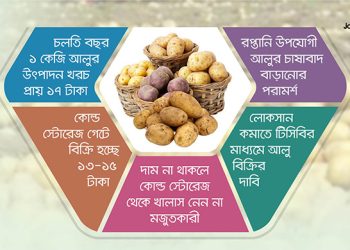 বিপাকে কৃষক-ব্যবসায়ী আলু মজুত করে