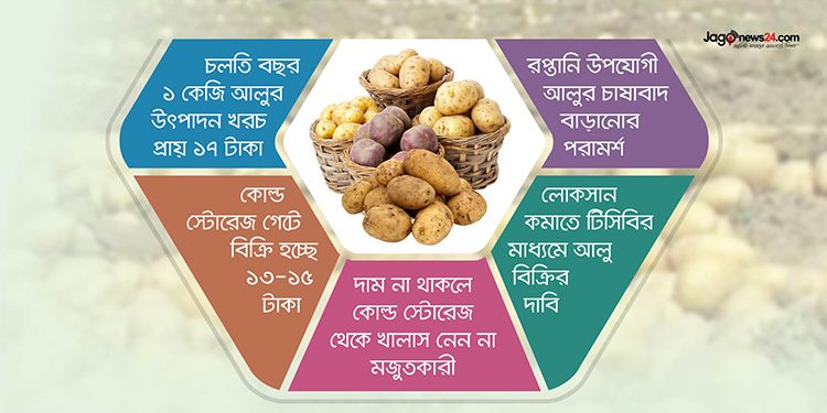 বিপাকে কৃষক-ব্যবসায়ী আলু মজুত করে