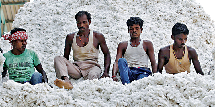 শুল্কছাড়ের সময়সীমা বাড়িয়েছে ভারত তুলা আমদানিতে
