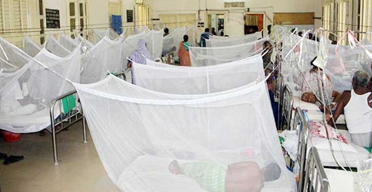 ডেঙ্গুতে হাসপাতালে ভর্তি রোগী ৪১ হাজার ছাড়িয়েছে