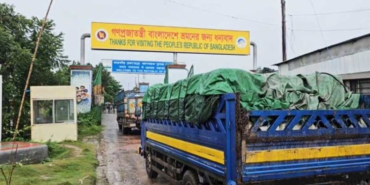 প্রায় সাড়ে ৫ হাজার টন মাছ রফতানি বেড়েছে ভারতে