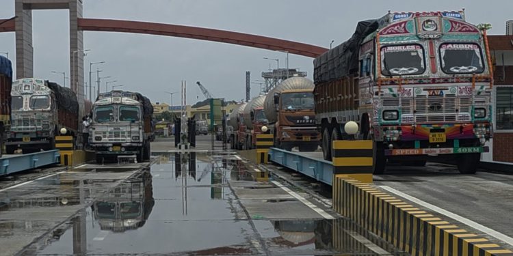 ভারতে মাছ রপ্তানিতে রেকর্ড বেনাপোল দিয়ে