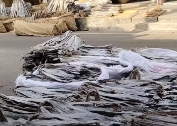 চট্টগ্রামে আসাদগঞ্জে প্রাচীন শুঁটকি পট্টিতে প্রতিদিন কোটি টাকার লেনদেন