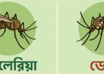 চট্টগ্রামে ডেঙ্গু ও ম্যালেরিয়া আক্রান্তের সংখ্যা বেড়ে যাওয়ার আশঙ্কা