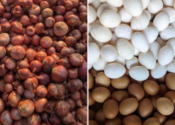 ডিম ১৫০ টাকা ও পেয়াজ ৯০ টাকা কেজিতে বিক্রি হচ্ছে