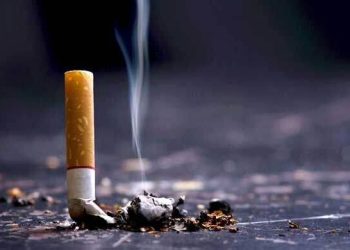 ৮৩ কোটি শলাকা অবৈধ সিগারেট প্রতি মাসে বাজারে আসছে