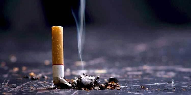 ৮৩ কোটি শলাকা অবৈধ সিগারেট প্রতি মাসে বাজারে আসছে