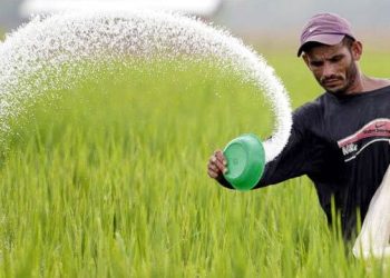 ৪৭২ কোটি টাকার সার কেনা হচ্ছে, নির্মাণ হবে বাফার গুদাম