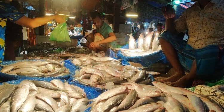 সরবরাহ কম ইলিশের, দাম বাড়ছে চড়া