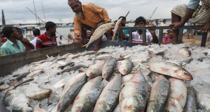 ইলিশ রপ্তানির অনুমতিতে হু হু করে বেড়েছে দাম