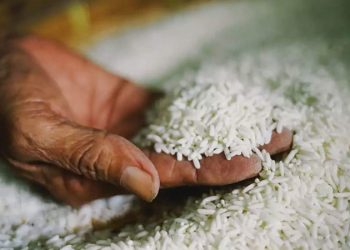 চাল রফতানি বাড়াচ্ছে ভারত ফিলিপাইনের বাজারে