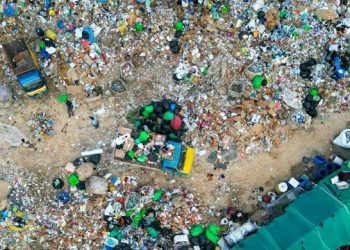 ওষুধ তৈরিতে ব্যবহার হচ্ছে ব্যাকটেরিয়া প্লাস্টিক বর্জ্য থেকে