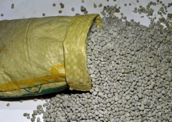 টিএসপি সার আমদানি করবে সরকার রাষ্ট্রীয় চুক্তির মাধ্যমে মিশর থেকে