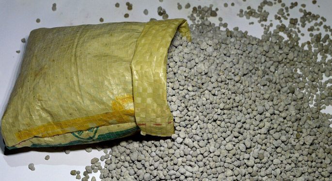 টিএসপি সার আমদানি করবে সরকার রাষ্ট্রীয় চুক্তির মাধ্যমে মিশর থেকে