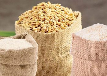 লাগাম টানতে পারছে না সরকার ব্যয়ের