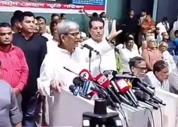 ধানের শীষ নিয়ে টানাটানি কেন? আমরা তো শাপলা দিতে বাধা দেইনি