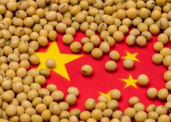 চীনে উৎপাদন বাড়লেও কমেনি আমদানি সয়াবিনে