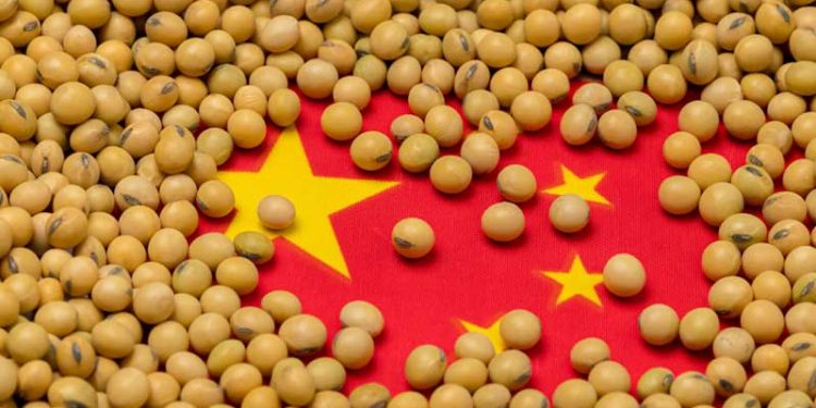 চীনে উৎপাদন বাড়লেও কমেনি আমদানি সয়াবিনে