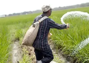 সার কিনতে ৬৬৪ কোটি টাকা ব্যয় করবে সরকার