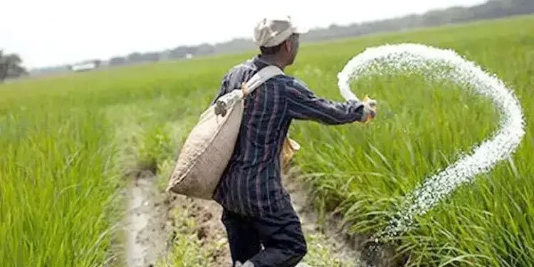 সার কিনতে ৬৬৪ কোটি টাকা ব্যয় করবে সরকার