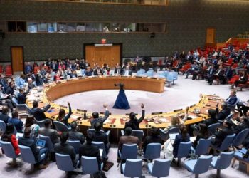 জাতিসংঘ নিরাপত্তা পরিষদে অনুমোদন পেল ট্রাম্পের গাজা পরিকল্পনা